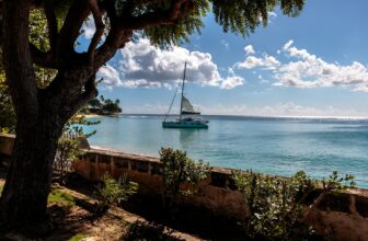 BARBADOS – Latest Stats on Barbados “Welcome Stamp”
